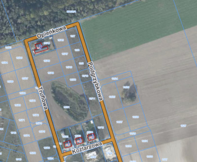 Działka 1355 m przy lesie - MPZP Kaźmierz - Kaźmierz  -
Wielkopolskie Zdjęcie nr 4