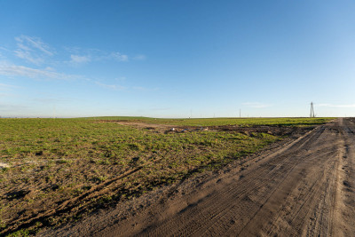 Działka 1355 m przy lesie - MPZP Kaźmierz - Kaźmierz  -
Wielkopolskie Zdjęcie nr 5