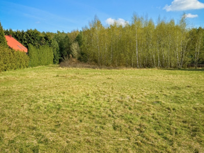 Działka budowlana MPZP  Mieścicka  1055 m2 - Mieściska  -
Wielkopolskie Zdjęcie nr 6
