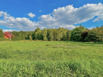 Działka budowlana MPZP  Mieścicka  1055 m2 - Mieściska  -
Wielkopolskie Zdjęcie nr 8