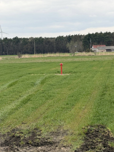 Dobieszczezna -  działki budowlane - Dobieszczyzna  - Wielkopolskie