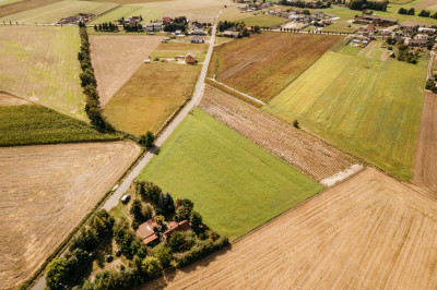 Dobieszczezna -  działki budowlane - Dobieszczyzna  -
Wielkopolskie Zdjęcie nr 4