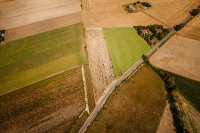 Dobieszczezna -  działki budowlane - Dobieszczyzna  -
Wielkopolskie Zdjęcie nr 6