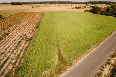 Dobieszczezna -  działki budowlane - Dobieszczyzna  -
Wielkopolskie Zdjęcie nr 7