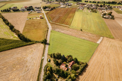 Dobieszczezna -  działki budowlane - Dobieszczyzna  -
Wielkopolskie Zdjęcie nr 8