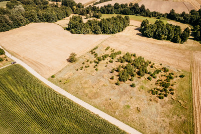 Działka rolna w gminie Opatówek - Opatówek  - Wielkopolskie