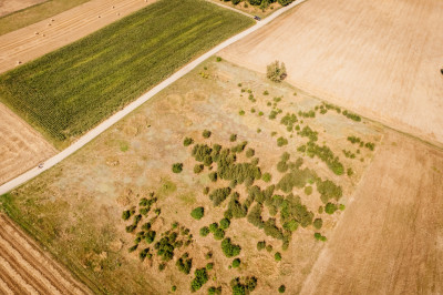 Działka rolna w gminie Opatówek - Opatówek  -
Wielkopolskie Zdjęcie nr 2