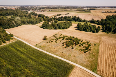 Działka rolna w gminie Opatówek - Opatówek  -
Wielkopolskie Zdjęcie nr 3