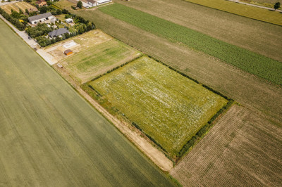 Działka 3000 m z dala od aglomeracji - Żelazków  - Wielkopolskie