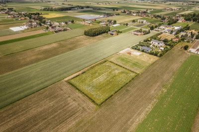 Działka 3000 m z dala od aglomeracji - Żelazków  -
Wielkopolskie Zdjęcie nr 4