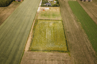 Działka 3000 m z dala od aglomeracji - Żelazków  -
Wielkopolskie Zdjęcie nr 6