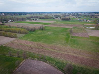 Kolonia Góra Bałdrzychowska - Działki po 1415m - Góra Bałdrzychowska-Kolonia  -
Łódzkie Zdjęcie nr 7