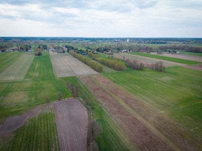 Kolonia Góra Bałdrzychowska - Działki po 1415m - Góra Bałdrzychowska-Kolonia  -
Łódzkie Zdjęcie nr 8