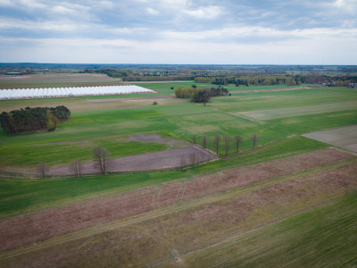 Kolonia Góra Bałdrzychowska - Działki po 1415m - Góra Bałdrzychowska-Kolonia  -
Łódzkie Zdjęcie nr 10