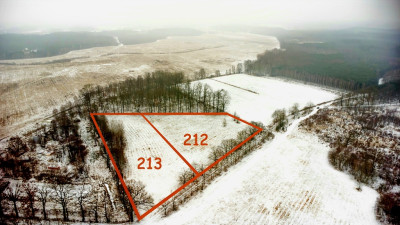 Atrakcyjna działka inwestycyjna w zieleni - Nowa Kopernia  - Lubuskie