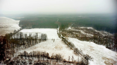Atrakcyjna działka inwestycyjna w zieleni - Nowa Kopernia  -
Lubuskie Zdjęcie nr 7