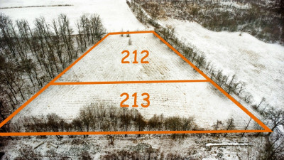 Atrakcyjna działka inwestycyjna w zieleni - Nowa Kopernia  -
Lubuskie Zdjęcie nr 8