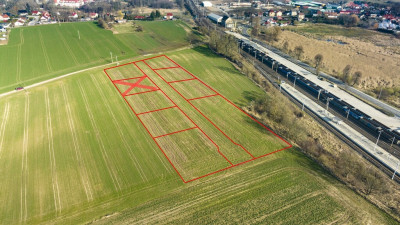 Super okazja dla łowców działek - Mieszkowice  - Zachodniopomorskie