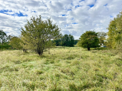 Duża działka dla dużej rodziny - Rynarzewo  -
Kujawsko-Pomorskie Zdjęcie nr 10