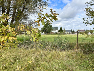 Duża działka dla dużej rodziny - Rynarzewo  -
Kujawsko-Pomorskie Zdjęcie nr 11