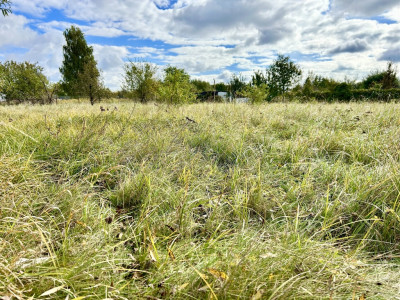 Duża działka dla dużej rodziny - Rynarzewo  -
Kujawsko-Pomorskie Zdjęcie nr 14