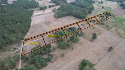 Działki rolne 3000 m  w Olszewce w gm Lelis - Olszewka  - Mazowieckie