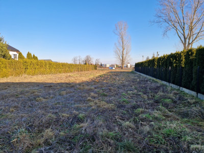 Działka w Pokrzywnicy  nieoficjalny środek Polski - Pokrzywnica  -
Łódzkie Zdjęcie nr 5