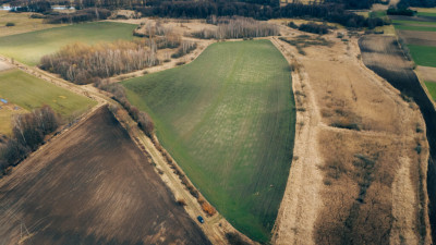 Działka rolna - Brzozówka gmina Cielądz - Brzozówka  - Łódzkie