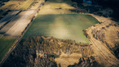 Działka rolna - Brzozówka gmina Cielądz - Brzozówka  -
Łódzkie Zdjęcie nr 3