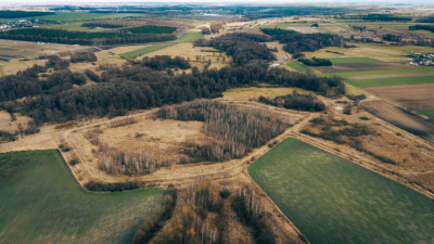 Działka rolna - Brzozówka gmina Cielądz - Brzozówka  -
Łódzkie Zdjęcie nr 7