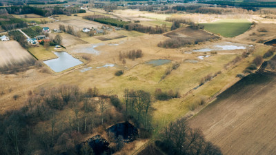 Działka rolna - Brzozówka gmina Cielądz - Brzozówka  -
Łódzkie Zdjęcie nr 9