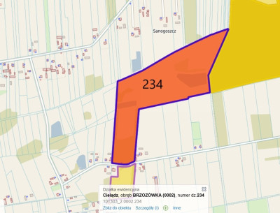 Działka rolna - Brzozówka gmina Cielądz - Brzozówka  -
Łódzkie Zdjęcie nr 3