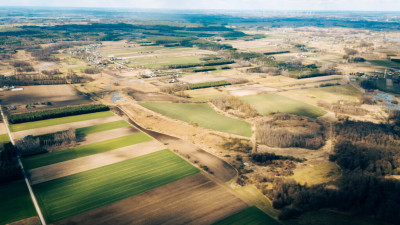 Działka rolna - Brzozówka gmina Cielądz - Brzozówka  -
Łódzkie Zdjęcie nr 10
