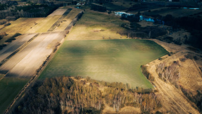 Działka rolna - Brzozówka gmina Cielądz - Brzozówka  -
Łódzkie Zdjęcie nr 6