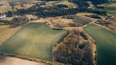 Działka rolna - Brzozówka gmina Cielądz - Brzozówka  -
Łódzkie Zdjęcie nr 8