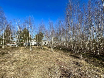 Twój prywatny park w sercu Solca Kujawskiego - Solec Kujawski  -
Kujawsko-Pomorskie Zdjęcie nr 4