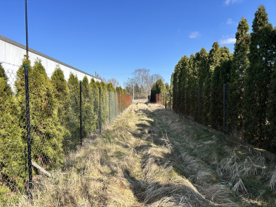 Twój prywatny park w sercu Solca Kujawskiego - Solec Kujawski  -
Kujawsko-Pomorskie Zdjęcie nr 6