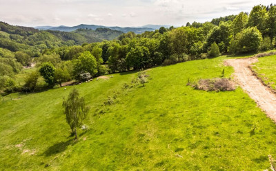 Działka - 15 arów Wilcza -Kłodzko - Wilcza  -
Dolnośląskie Zdjęcie nr 14