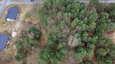 PROMOCJA  77 000 zł MPZP - Żagań  -
Lubuskie Zdjęcie nr 4