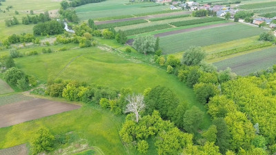 Działka rolna 143 ha  Kompina gm Nieborów - Kompina  -
Łódzkie Zdjęcie nr 2