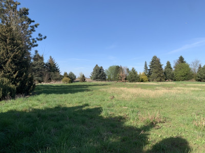 Działka 3856 m z WZ - idealna pod inwestycję - Skałowo  - Wielkopolskie