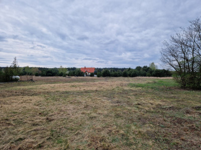 Kotowice  działka z WZ media - Kotowice  -
Łódzkie Zdjęcie nr 5