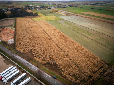 243 ha inwestycyjne z MPZP 2 km do A1 gm Rzgów - Kalino  - Łódzkie
