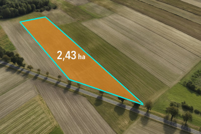 243 ha inwestycyjne z MPZP 2 km do A1 gm Rzgów - Kalino  -
Łódzkie Zdjęcie nr 3