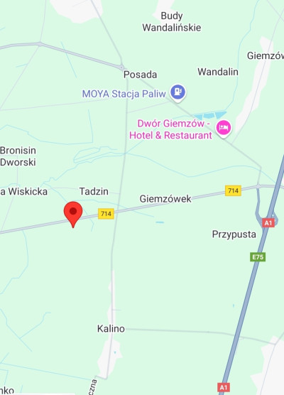 243 ha inwestycyjne z MPZP 2 km do A1 gm Rzgów - Kalino  -
Łódzkie Zdjęcie nr 4