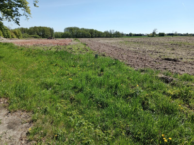 243 ha inwestycyjne z MPZP 2 km do A1 gm Rzgów - Kalino  -
Łódzkie Zdjęcie nr 9