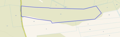 123 ha lasu w rozsądnych pieniądzach - Żebry-Perosy  -
Mazowieckie Zdjęcie nr 6