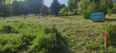 Działka pod Twój dom 15 ar WZ w trakcie - Nowy Kisielin  -
Lubuskie Zdjęcie nr 5