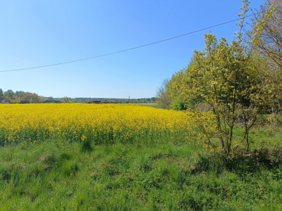 OKAZJA Dobrzyń - 956ha możliwa zabudowa - Dobrzyń  -
Zachodniopomorskie Zdjęcie nr 11
