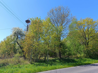 OKAZJA Dobrzyń - 956ha możliwa zabudowa - Dobrzyń  -
Zachodniopomorskie Zdjęcie nr 2